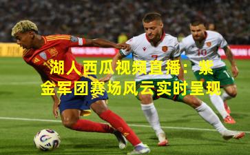 湖人西瓜视频直播：紫金军团赛场风云实时呈现