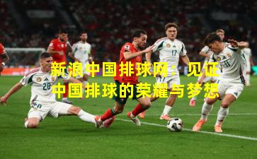 新浪中国排球网：见证中国排球的荣耀与梦想