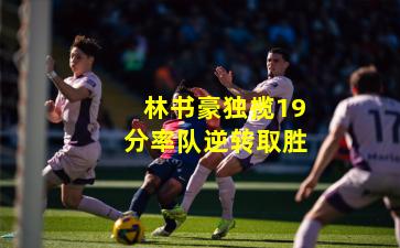 林书豪独揽19分率队逆转取胜