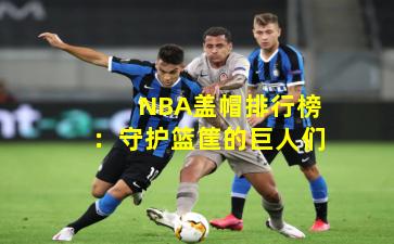  NBA盖帽排行榜：守护篮筐的巨人们