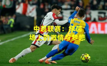 中超联赛:绿茵场上的激情与梦想